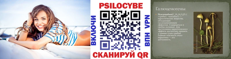 Псилоцибиновые грибы мицелий  Шелехов 