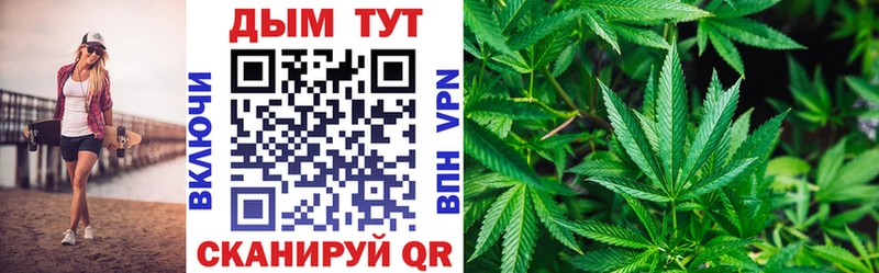 Бошки марихуана семена  купить   Шелехов 